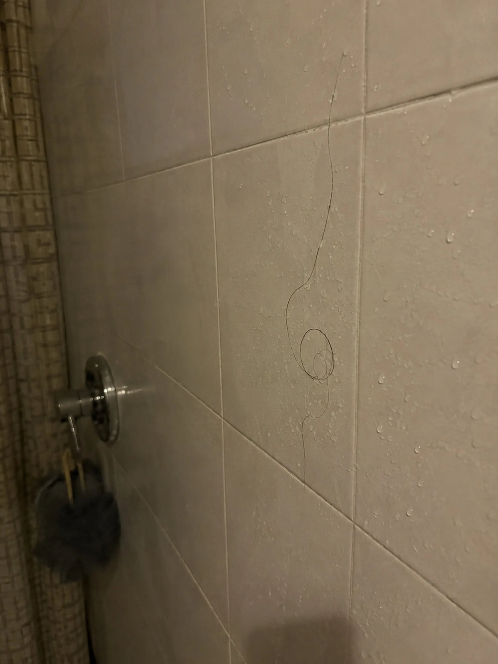 The bathroom tile where it all started