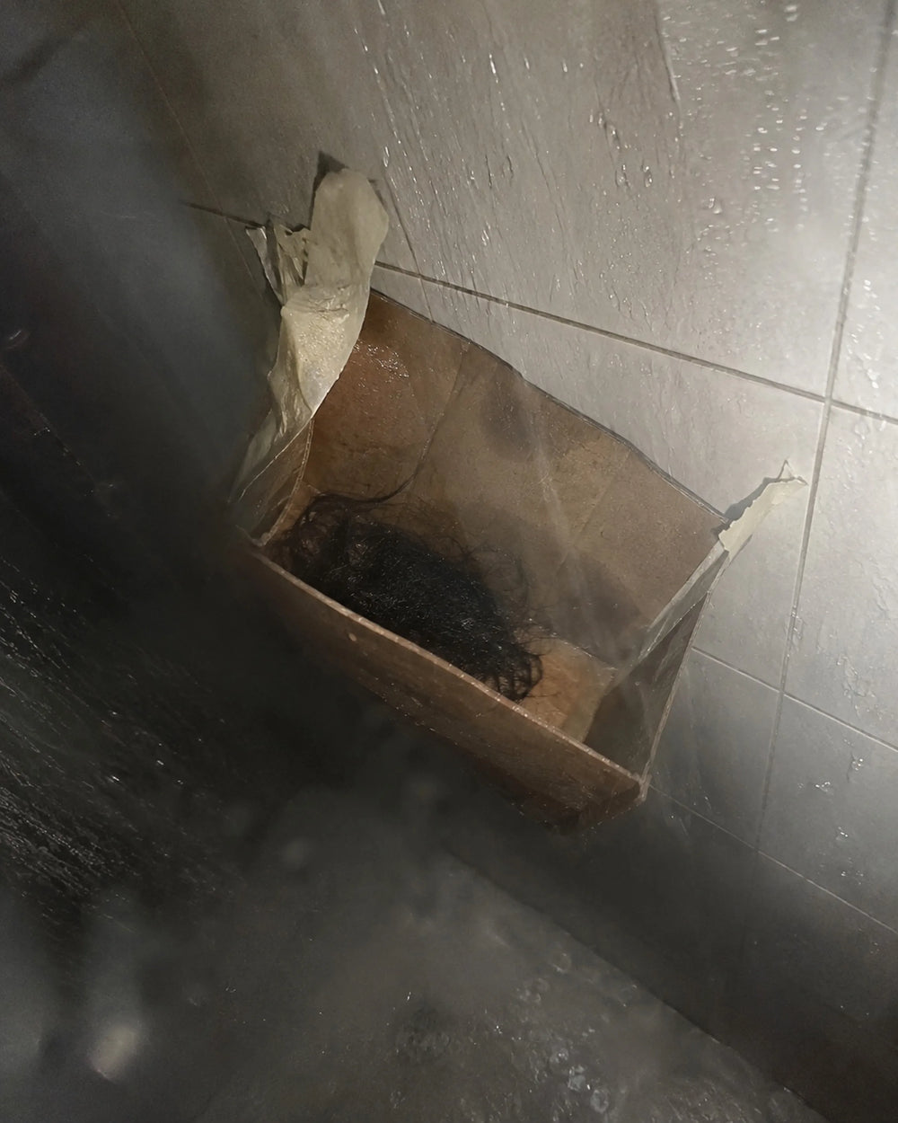 The cardboard prototype collapsing in the shower